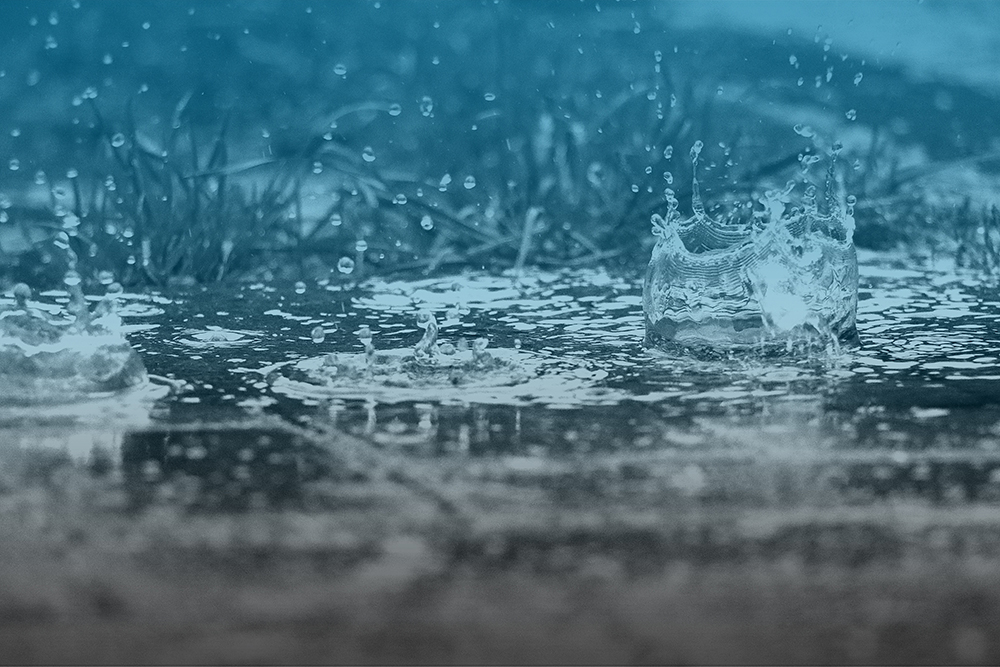 the rain is falling in a puddle in the garden